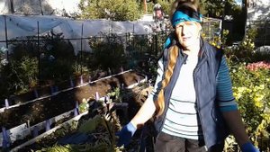 Папоротник в огород ,ржавое железо от хлороза.
