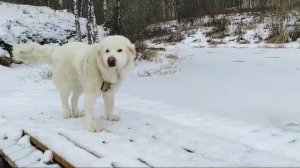 рыбалка в начале зимы 2023г.