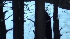 Ну и что,что зима