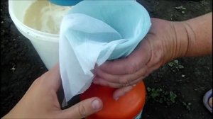 Отрава для колорадских жуков (без химии)