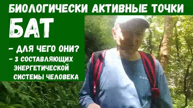 БАТ (биологически активные точки) / Три составляющие энергетической системы человека смотреть онлайн