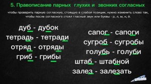 ВСЕ ОРФОГРАММЫ ИЗУЧАЕМЫЕ В 1 КЛАССЕ / 1 КЛАСС РУССКИЙ ЯЗЫК / Начальная школа орфограммы