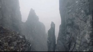 Экспедиция на остров Столбовой. Фонд «Эффект мамонта»