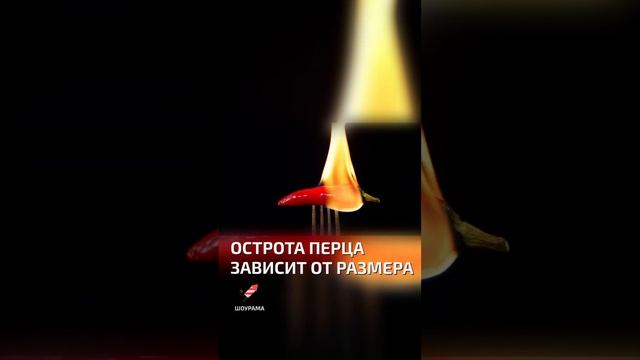 Острота перца зависит от размера  - интересные факты про фрукты и овощи