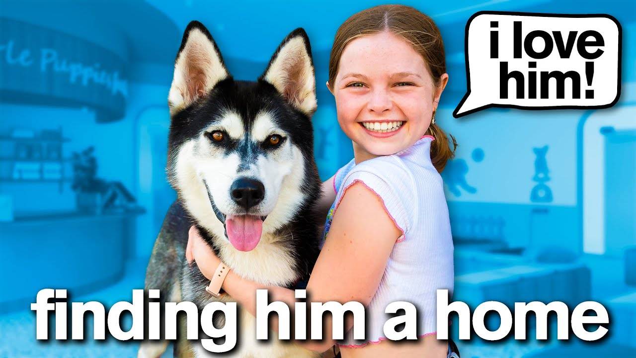 My Daughter Has 24 Hours to SAVE A PUPPY *emotional* смотреть онлайн