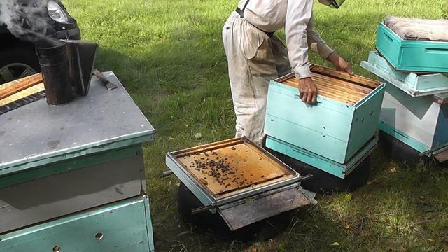 Идёт подготовка пасеки к зимовке смотреть онлайн