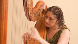 Queen's Gardens from Hollow Knight (Harp Cover)