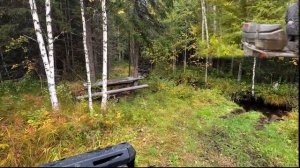 По лесам Карелии на квадроциклах BRP и CFMOTO