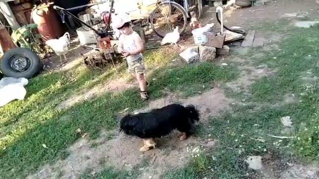 когда все слишком интересно