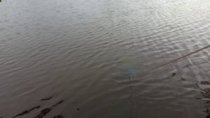 ОЧЕРЕДНОЙ ЭКСПЕРИМЕНТ: А ПОЙМАЮ ЛИ Я РАКОВ НА КУРИНЫЕ ХРЕБТЫ) ЛОВИМ РАКОВ НА СУПОВОЙ НАБОР.