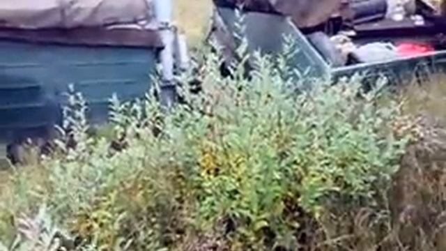 Ишимбай смотреть онлайн