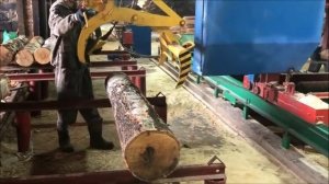 Пилорама Радуга 2М Качественный распил березы