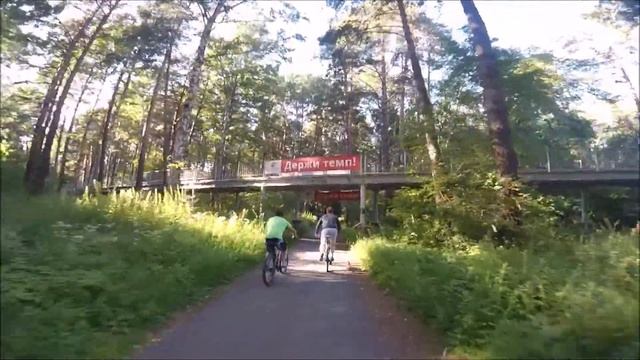 заельцовский бор смотреть онлайн