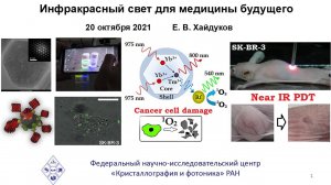 лекция: Инфракрасный свет для медицины будущего Евгений Хайдуков
