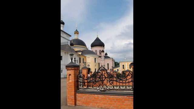 Вознесенская Давидова пустынь Новый Быт Чеховский район
