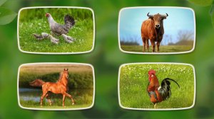 Животные на ферме, звуки животных, отгадываем животных | Развивающий мультфильм для детей