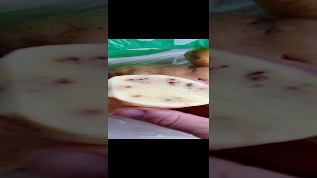 Поел картошечки!