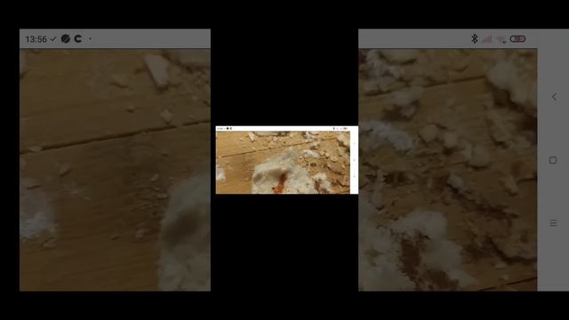 как смотреть видео смотреть онлайн