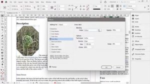 Import Word Documents into Indesign