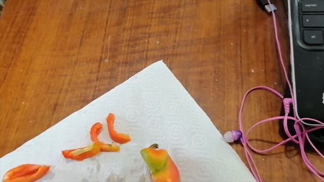 Не входить, злой попугай! Половое созревание неразлучника Буси. Parrot puberty. смотреть онлайн