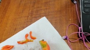 Не входить, злой попугай! Половое созревание неразлучника Буси. Parrot puberty.