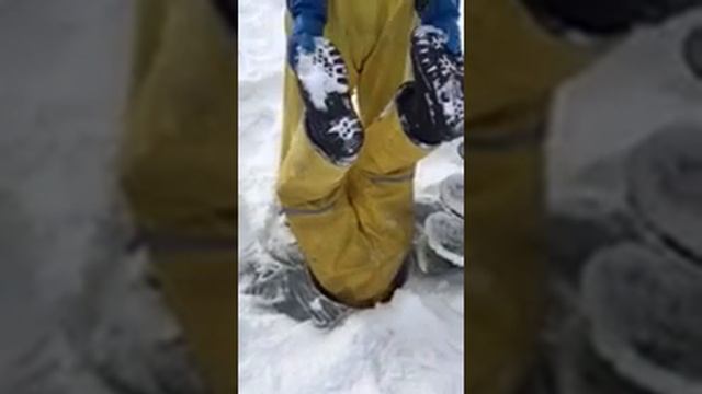 The new fish finder смотреть онлайн