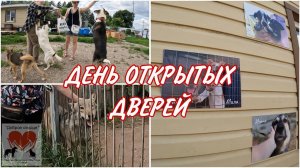 ДЕНЬ ОТКРЫТЫХ ДВЕРЕЙ В ПРИЮТЕ | «ДОБРОЕ СЕРДЦЕ» ТАМБОВ