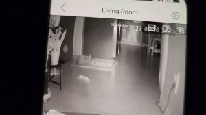 РЫБАЛКА НА САЗАНА  - РЫБАЛКА В КОРЕЕ 2022 - KOREA VLOG