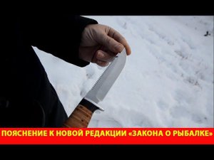 Пояснение к новой редакции «закона о рыбалке». На каких водоёмах будет запрет на платную рыбалку.