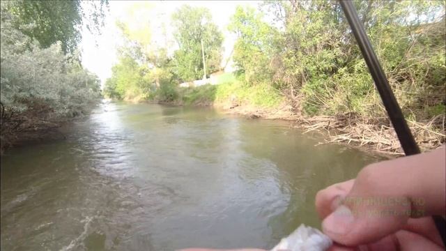Рыбалка в канале в 3 саду. Ловля окуня на мормышынг