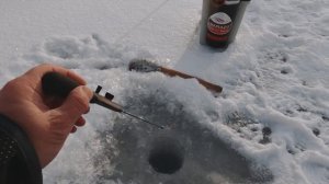 Безмотылка. Зимняя рыбалка на мормышку. Кошачий глаз в деле.