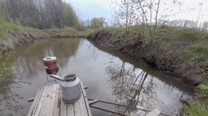 Торжественный запуск малька щуки в свой пруд. Первый выпуск такой хищной рыбы в свой пруд.