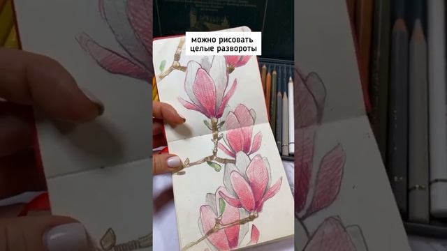 Карманный скетчбук для цветных карандашей ? смотреть онлайн