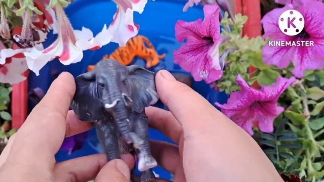 Учим животных на английском языке/ тигр/ медведь/ носорог/ слон/ собака/ смотреть онлайн