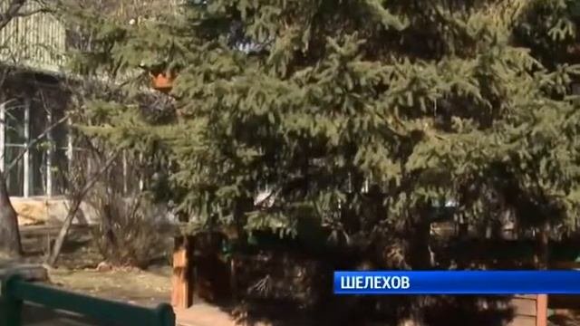 Реабилитационный центр в Шелехове
