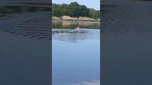Видео отзыв об автопилоте АкваРобот - МАКСИ