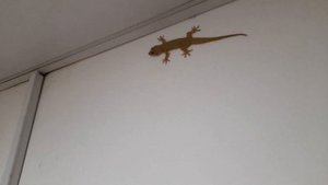 Iran 🇮🇷 посёлок Морварид для проживания работников строительства АЭС "Бушер" نیروگاه مروارید بوشهر