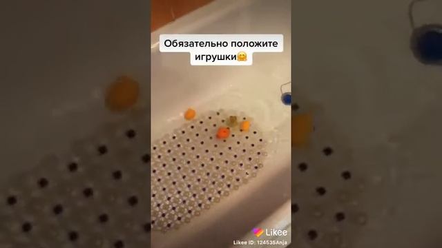 Как приучить кота не боятся воды?❤