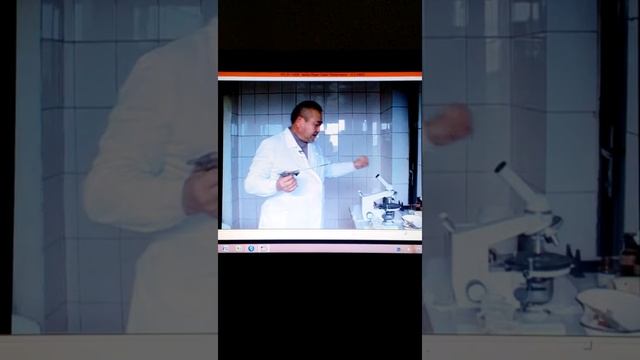 Осеменение овцы смотреть онлайн