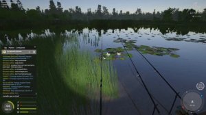 Русская рыбалка 4 / оз. Медвежье / Карп зеркальный (трофей), на 16-е бойлы с пва, но без дипа ))