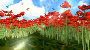 Футаж Маковое поле. Красивый фон с бабочками