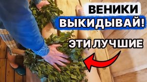 ТОП 5 ВЕНИКОВ для БАНИ. В чем разница?!