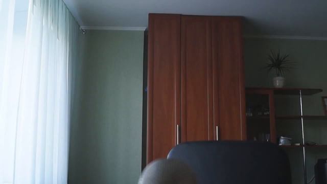 СЛАДКИЙ ЛИМОН И ТЁПЛАЯ ВОДА   Catlateral Damage LemonWater CHALLENGE! смотреть онлайн