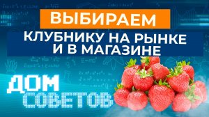 Выбираем клубнику на рынке и в магазине