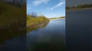 Супер Бензокоса карвер на лодку
