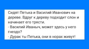 Признаки Лишения Девственности у Мужчин и С@кс для Души!!! Смешная Подборка Анекдотов!!!