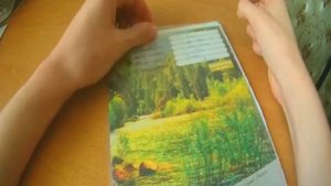 как списать на огэ
