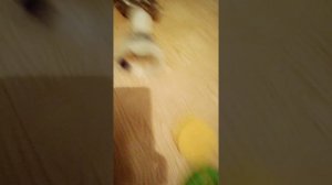 Самодельный воздушный фильтр на мопед альфа.