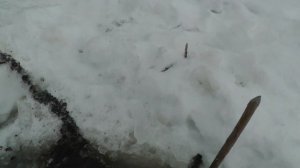 Снимаем фитили! Закрытие зимней рыбалки.