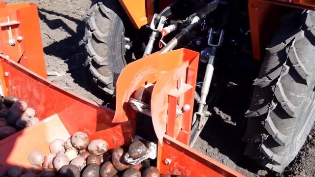 Сажаем картофель 2020 смотреть онлайн